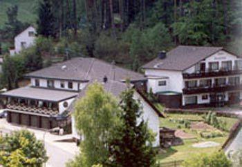 Hotel Restaurant Haus Waldesruh Eppenbrunn Extérieur photo
